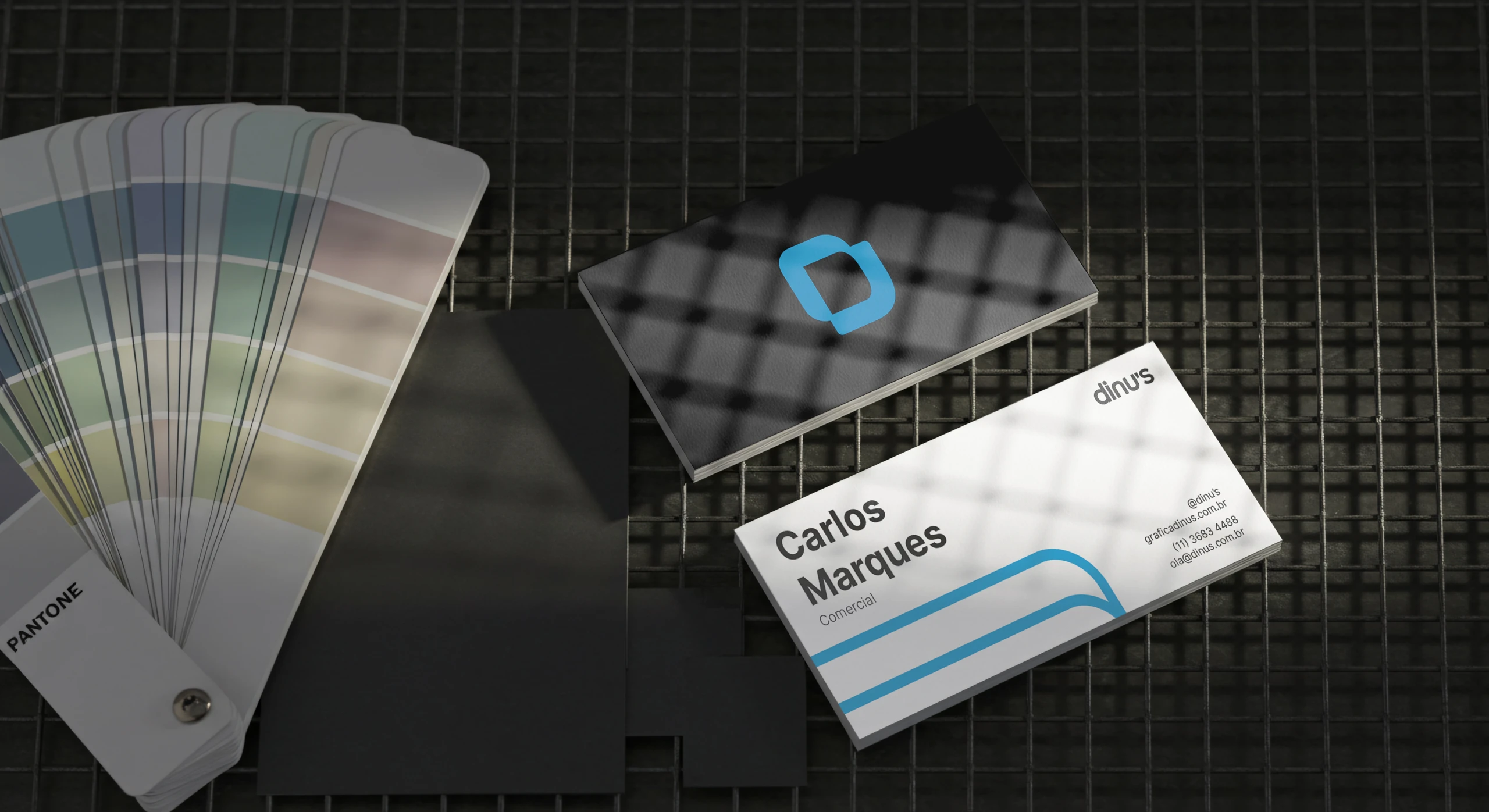 DINU’S business cards next to a color scale
