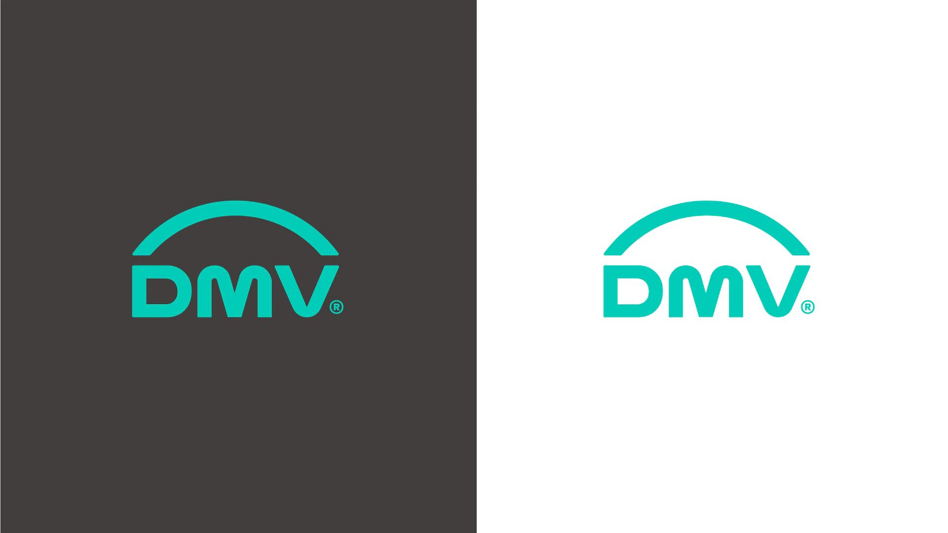 DMV logo on graphite and on white