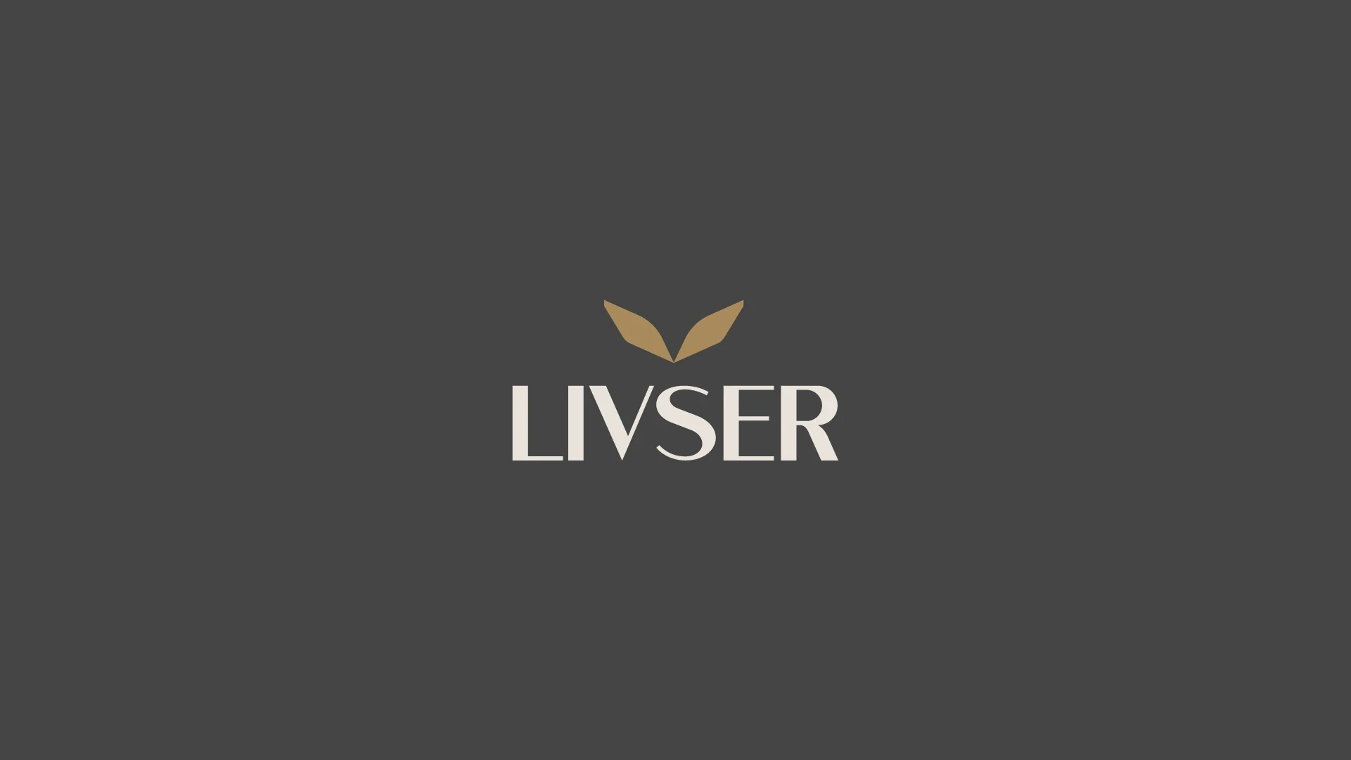Livser logo on graphite