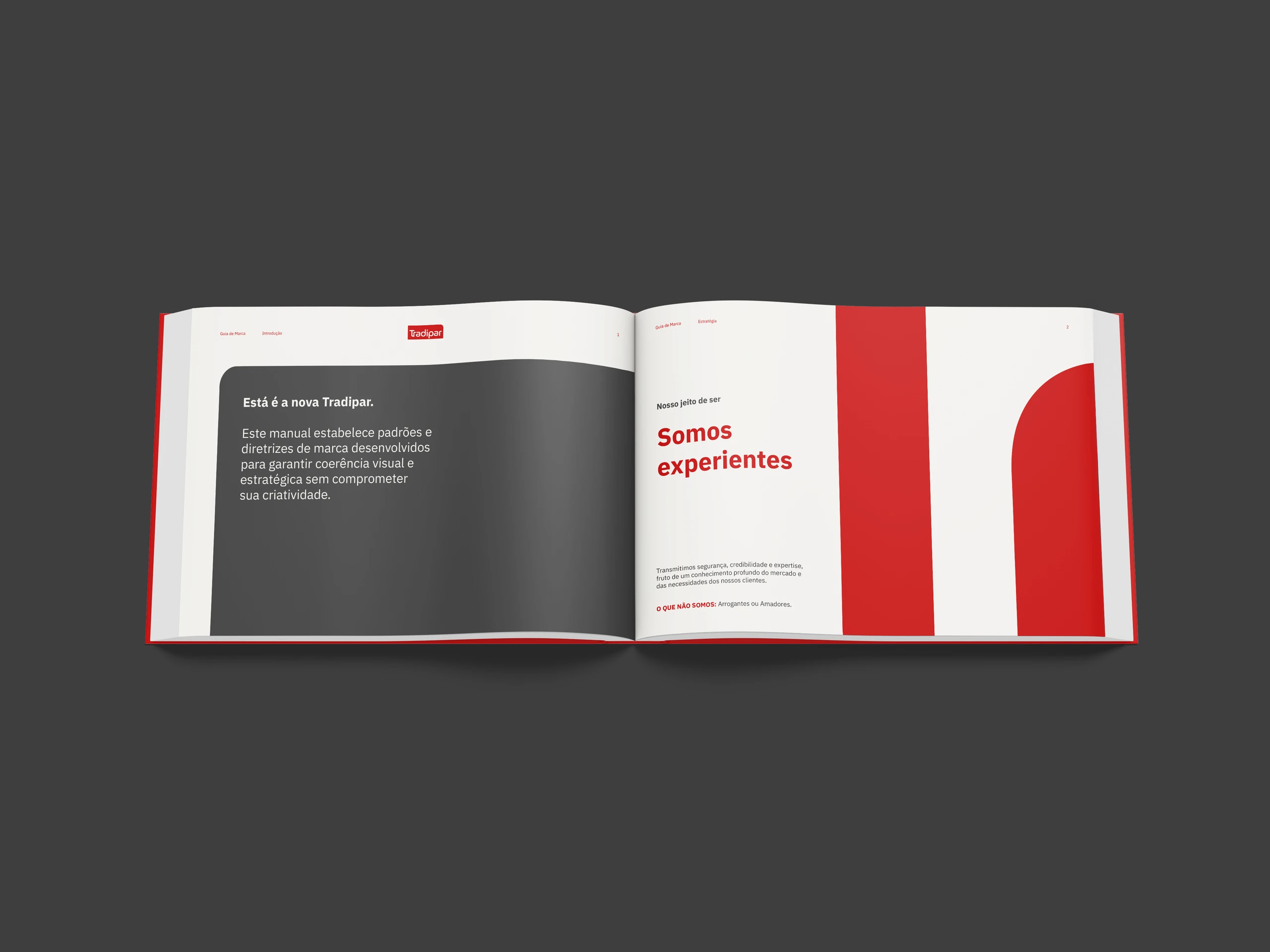 Tradipar brand manual, open